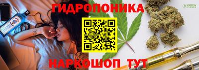 spice Обь