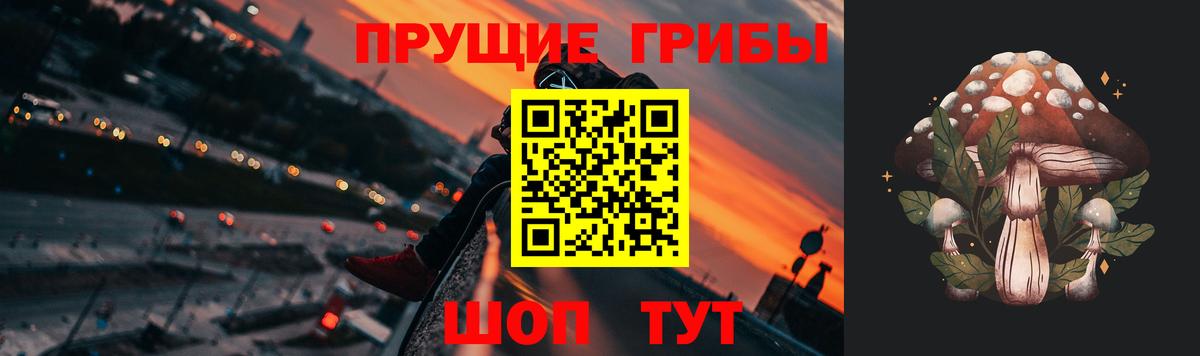 цены наркотик  Вход с VPN  Галлюциногенные грибы прущие грибы  Углич  Псилоцибиновые грибы GOLDEN TEACHER 